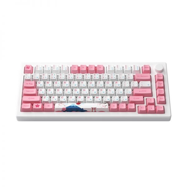 Custom Keyboard-[Akko] MOD007B PC Tokyo Gaming Keyboard (75%) - Meow Key