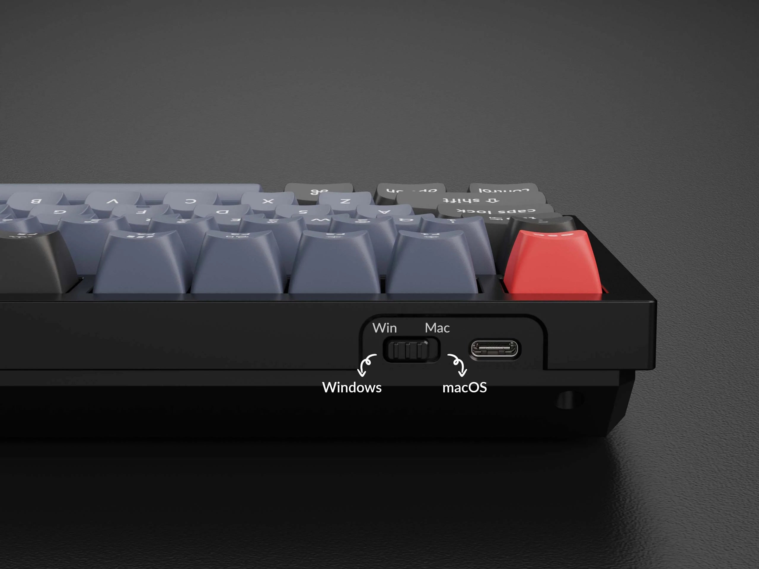 DIY Kit-Keychron Q6 QMK Custom Mechanical Keyboard (100%) - Meow Key